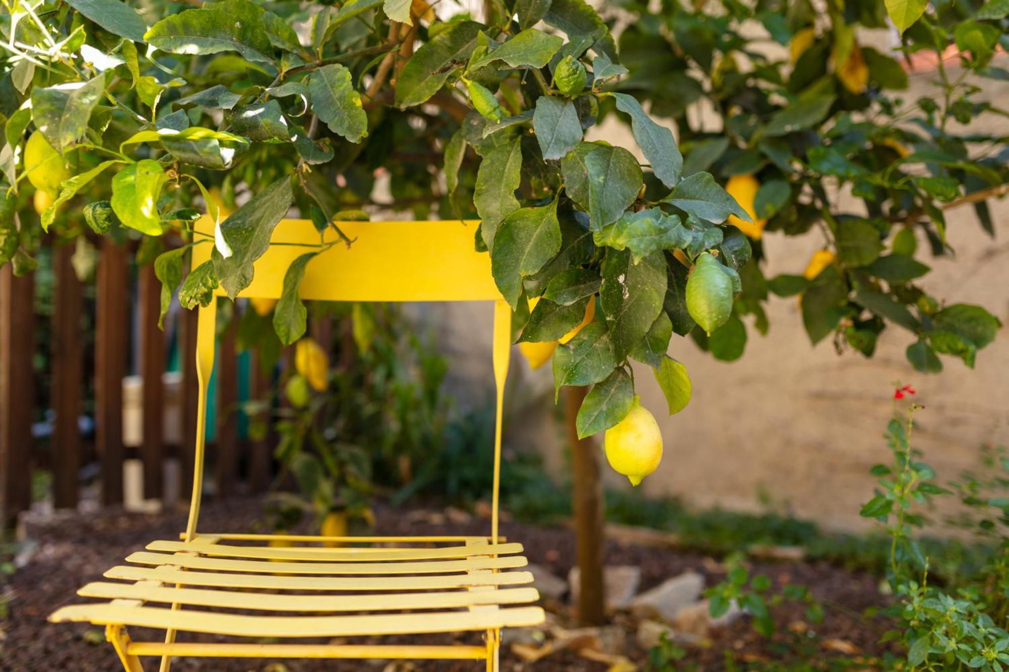 Bed and Breakfast La Tour Du Terroir Rivesaltes Exterior foto